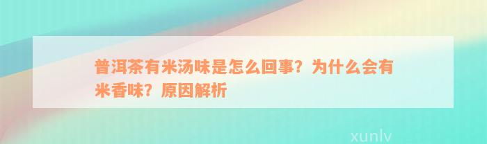 普洱茶有米汤味是怎么回事？为什么会有米香味？原因解析