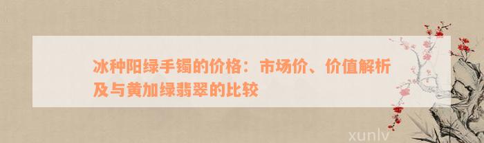 冰种阳绿手镯的价格：市场价、价值解析及与黄加绿翡翠的比较