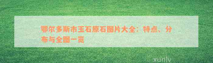 鄂尔多斯市玉石原石图片大全：特点、分布与全图一览