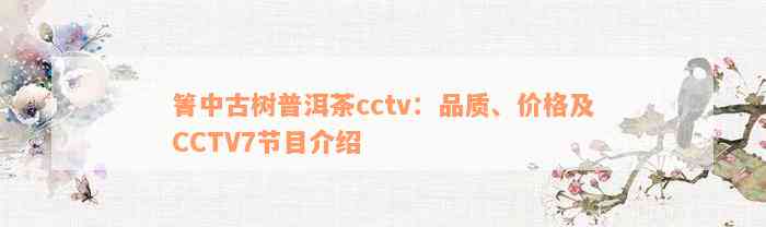 箐中古树普洱茶cctv：品质、价格及CCTV7节目介绍