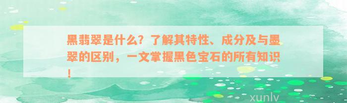 黑翡翠是什么？了解其特性、成分及与墨翠的区别，一文掌握黑色宝石的所有知识！