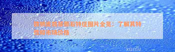 铁锈皮翡翠原石特征图片全览：了解其特性和市场价格