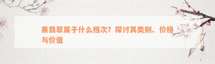 黑翡翠属于什么档次？探讨其类别、价格与价值