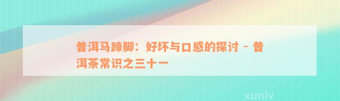 普洱马蹄脚：好坏与口感的探讨 - 普洱茶常识之三十一