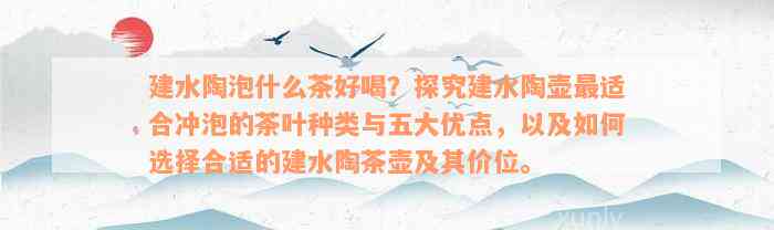 建水陶泡什么茶好喝？探究建水陶壶最适合冲泡的茶叶种类与五大优点，以及如何选择合适的建水陶茶壶及其价位。