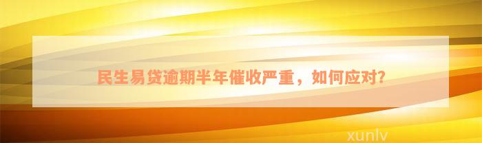 民生易贷逾期半年催收严重，如何应对？