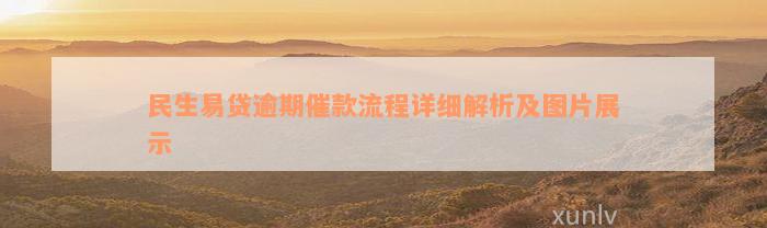 民生易贷逾期催款流程详细解析及图片展示