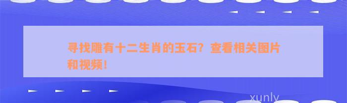 寻找雕有十二生肖的玉石？查看相关图片和视频！