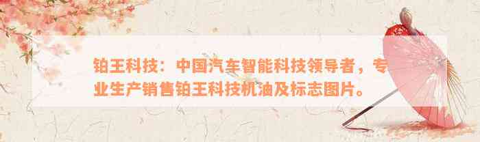 铂王科技：中国汽车智能科技领导者，专业生产销售铂王科技机油及标志图片。