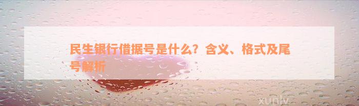 民生银行借据号是什么？含义、格式及尾号解析