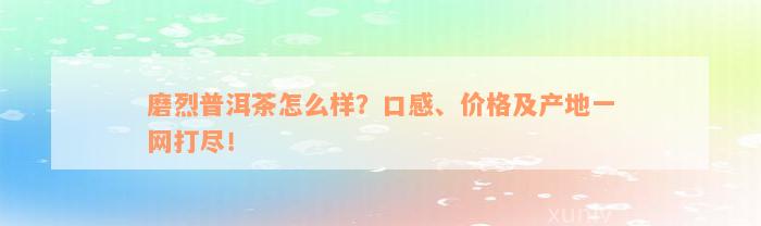 磨烈普洱茶怎么样？口感、价格及产地一网打尽！