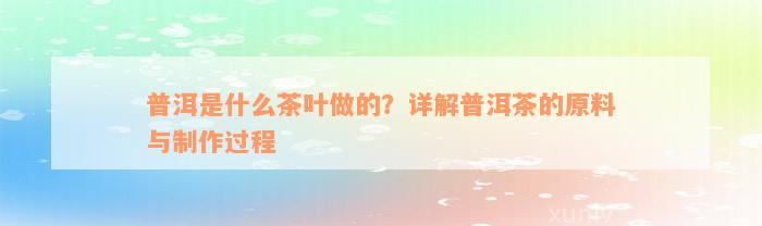 普洱是什么茶叶做的？详解普洱茶的原料与制作过程