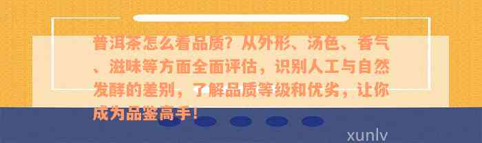 普洱茶怎么看品质？从外形、汤色、香气、滋味等方面全面评估，识别人工与自然发酵的差别，了解品质等级和优劣，让你成为品鉴高手！