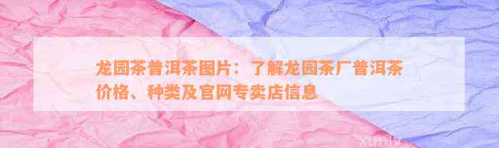 龙园茶普洱茶图片：了解龙园茶厂普洱茶价格、种类及官网专卖店信息