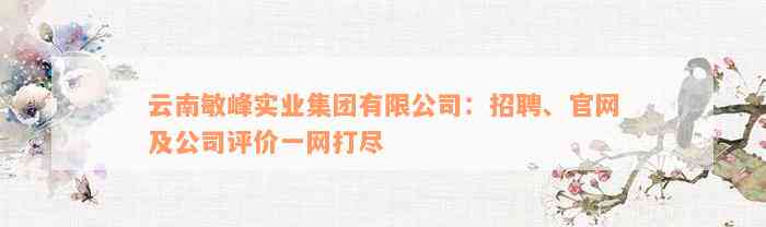 云南敏峰实业集团有限公司：招聘、官网及公司评价一网打尽