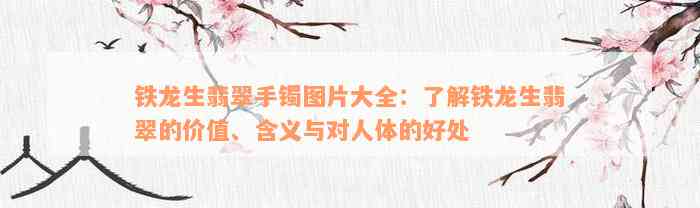 铁龙生翡翠手镯图片大全：了解铁龙生翡翠的价值、含义与对人体的好处