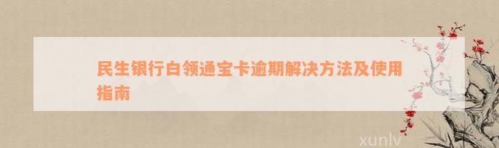 民生银行白领通宝卡逾期解决方法及使用指南