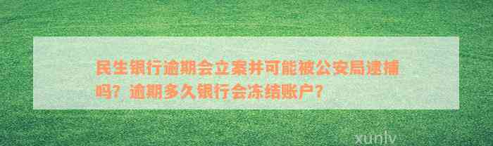 民生银行逾期会立案并可能被公安局逮捕吗？逾期多久银行会冻结账户？