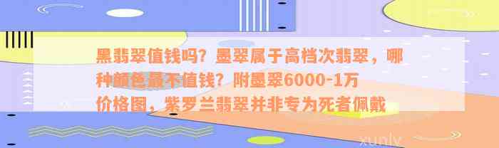 黑翡翠值钱吗？墨翠属于高档次翡翠，哪种颜色最不值钱？附墨翠6000-1万价格图，紫罗兰翡翠并非专为死者佩戴