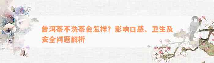 普洱茶不洗茶会怎样？影响口感、卫生及安全问题解析