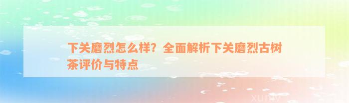 下关磨烈怎么样？全面解析下关磨烈古树茶评价与特点