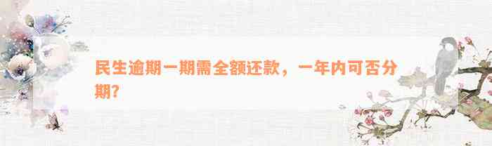 民生逾期一期需全额还款，一年内可否分期？