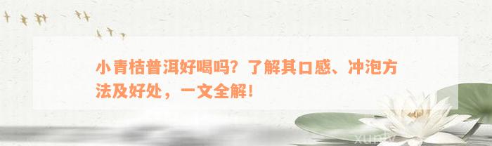 小青桔普洱好喝吗？了解其口感、冲泡方法及好处，一文全解！