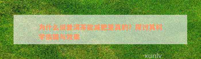 为什么说普洱茶能减肥是真的？探讨其科学依据与效果