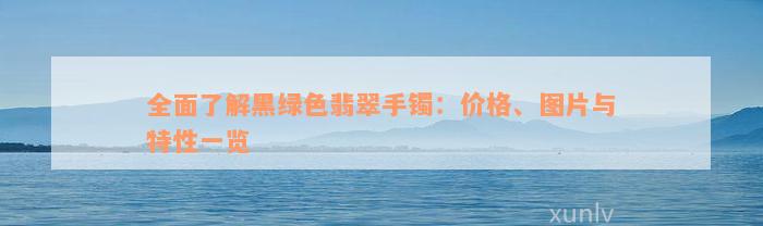 全面了解黑绿色翡翠手镯：价格、图片与特性一览