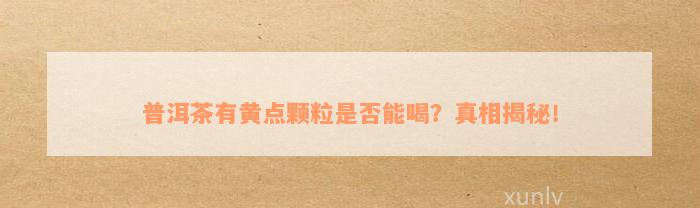 普洱茶有黄点颗粒是否能喝？真相揭秘！