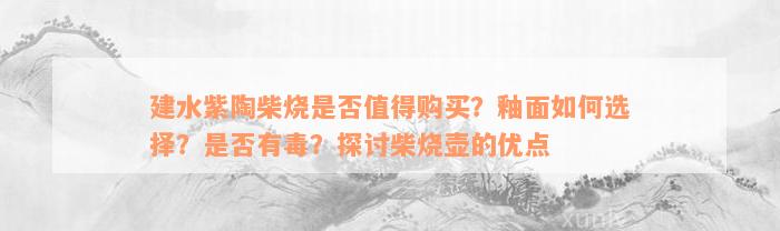 建水紫陶柴烧是否值得购买？釉面如何选择？是否有毒？探讨柴烧壶的优点