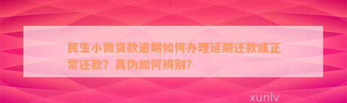 民生小微贷款逾期如何办理延期还款或正常还款？真伪如何辨别？