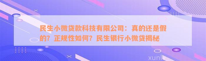 民生小微贷款科技有限公司：真的还是假的？正规性如何？民生银行小微贷揭秘