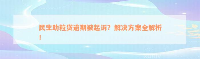 民生助粒贷逾期被起诉？解决方案全解析！