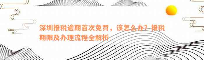 深圳报税逾期首次免罚，该怎么办？报税期限及办理流程全解析