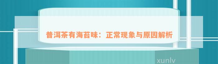 普洱茶有海苔味：正常现象与原因解析