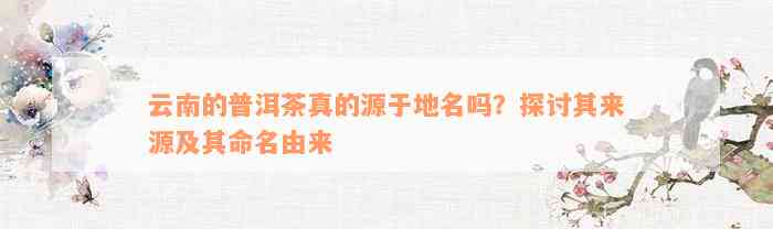 云南的普洱茶真的源于地名吗？探讨其来源及其命名由来