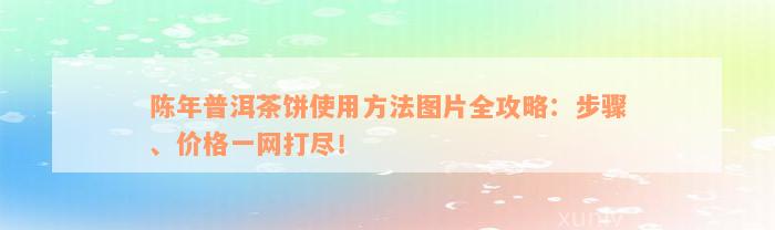 陈年普洱茶饼使用方法图片全攻略：步骤、价格一网打尽！