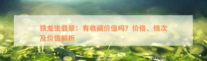 铁龙生翡翠：有收藏价值吗？价格、档次及价值解析