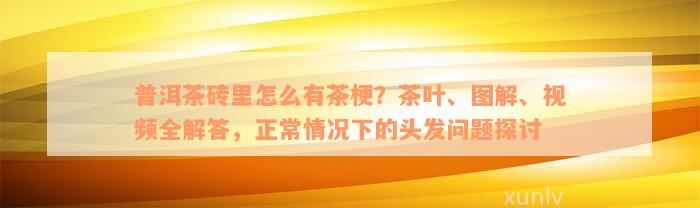 普洱茶砖里怎么有茶梗？茶叶、图解、视频全解答，正常情况下的头发问题探讨