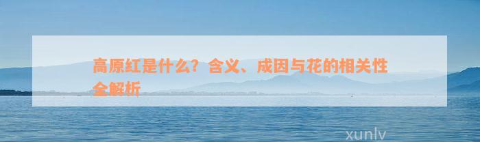 高原红是什么？含义、成因与花的相关性全解析