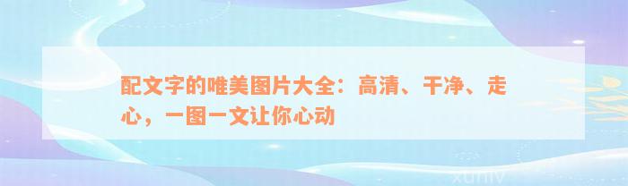 配文字的唯美图片大全：高清、干净、走心，一图一文让你心动