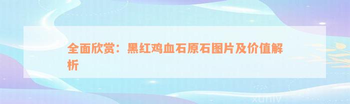 全面欣赏：黑红鸡血石原石图片及价值解析