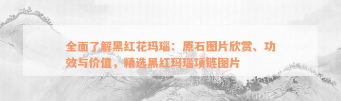 全面了解黑红花玛瑙：原石图片欣赏、功效与价值，精选黑红玛瑙项链图片