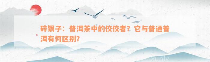 碎银子：普洱茶中的佼佼者？它与普通普洱有何区别？