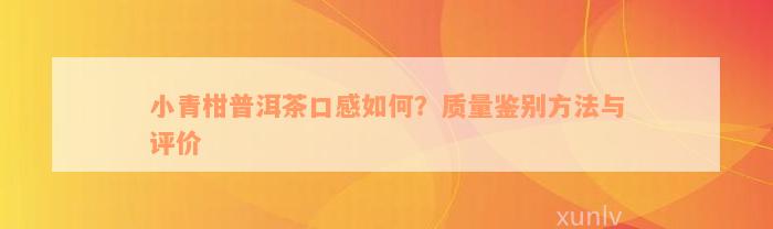 小青柑普洱茶口感如何？质量鉴别方法与评价