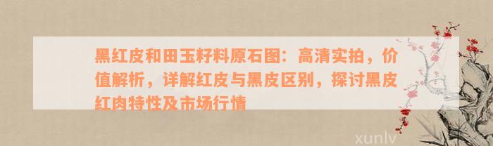 黑红皮和田玉籽料原石图：高清实拍，价值解析，详解红皮与黑皮区别，探讨黑皮红肉特性及市场行情