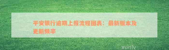 平安银行逾期上报流程图表：最新版本及更新频率