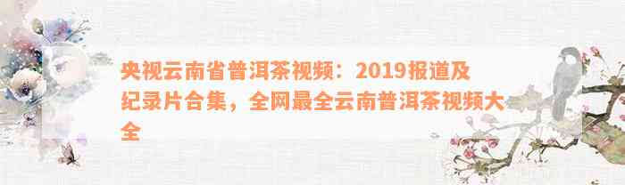 央视云南省普洱茶视频：2019报道及纪录片合集，全网最全云南普洱茶视频大全