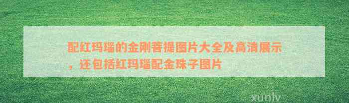 配红玛瑙的金刚菩提图片大全及高清展示，还包括红玛瑙配金珠子图片